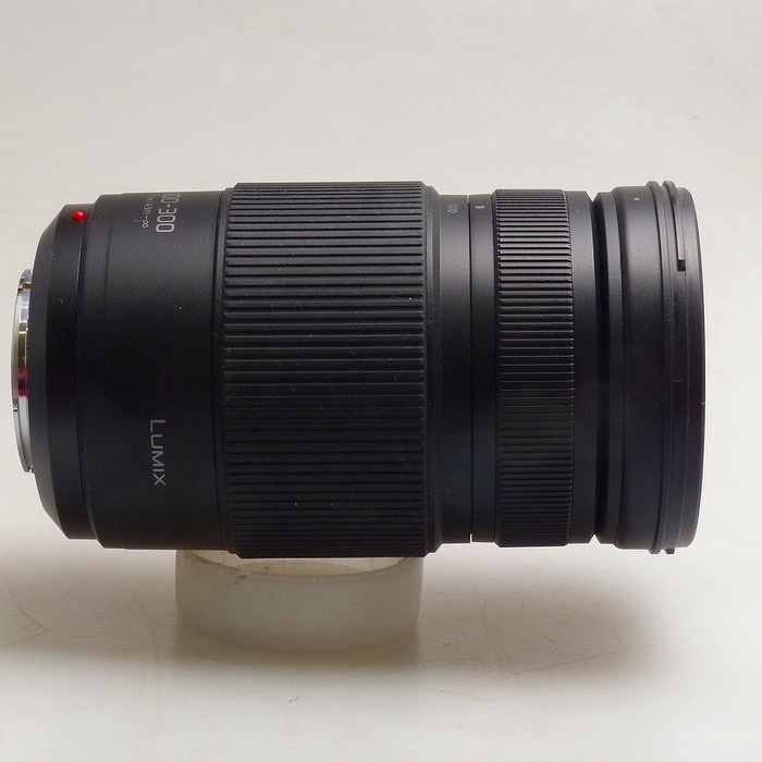 パナソニック G VARIO 100-300/4-5.6 II H-FSA100300