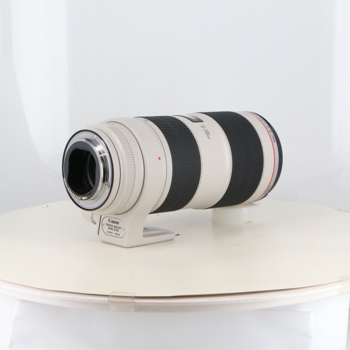 キヤノン EF70-200/2.8L IS II USM