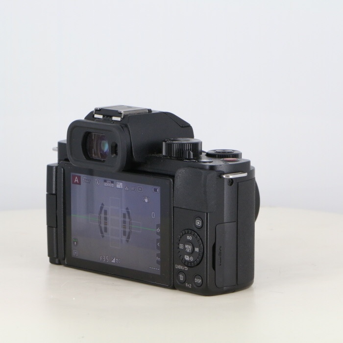 パナソニック DC-G100V 標準ズーム+トライポッドグリップ