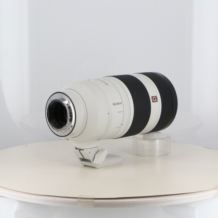 ソニー FE100-400/4.5-5.6 GM OSS