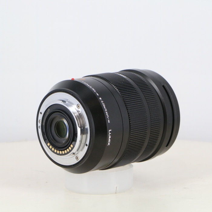 パナソニック LEICA DG バリオエルマリート 12-60/2.8-4.0 ASPH. POWER O.I.S.