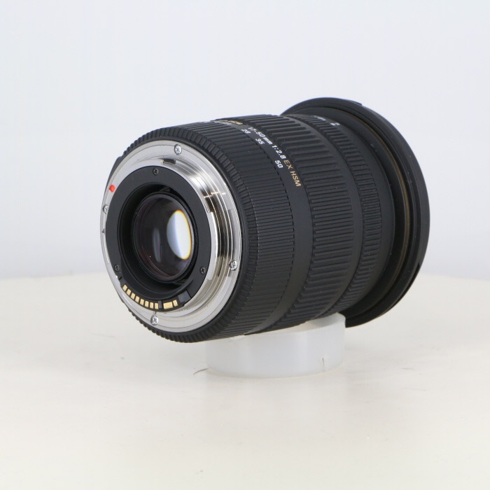 シグマ AF17-50/2.8EX DC OS HSM EO キヤノンEFマウント用