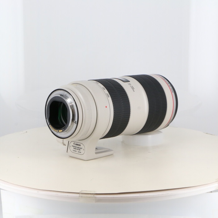 キヤノン EF70-200/2.8L IS II USM