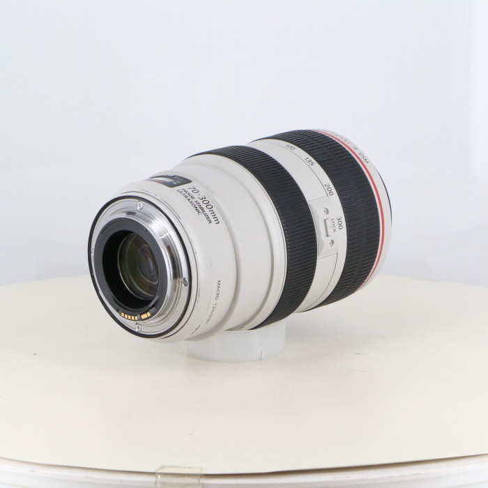キヤノン EF70-300/4-5.6L IS USM