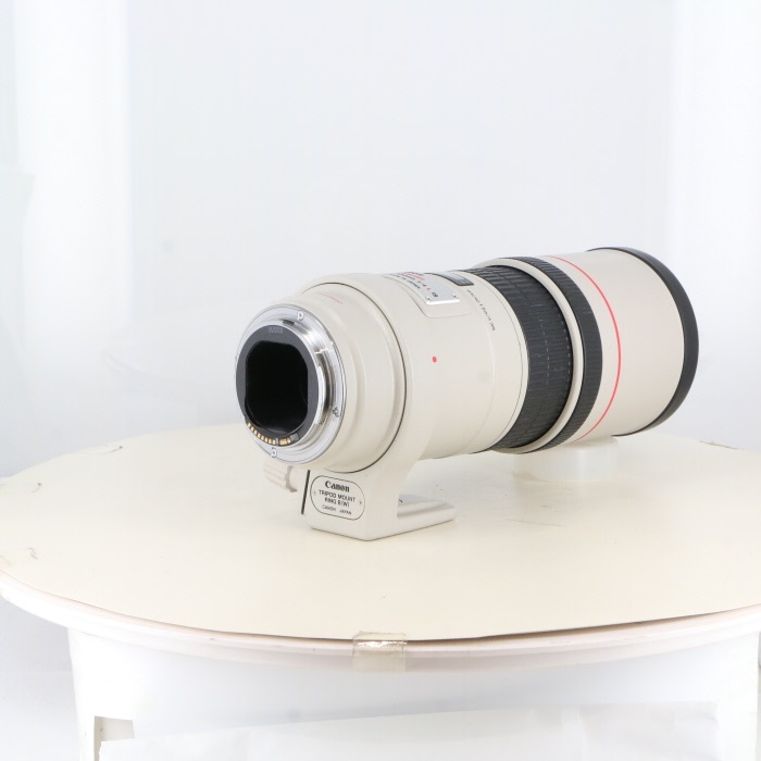 キヤノン EF300/4L IS USM