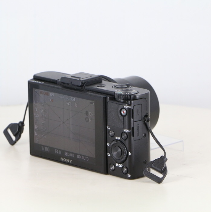 ソニー DSC-RX100M2