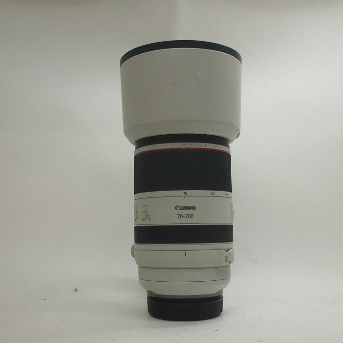 キヤノン RF70-200/2.8L IS USM