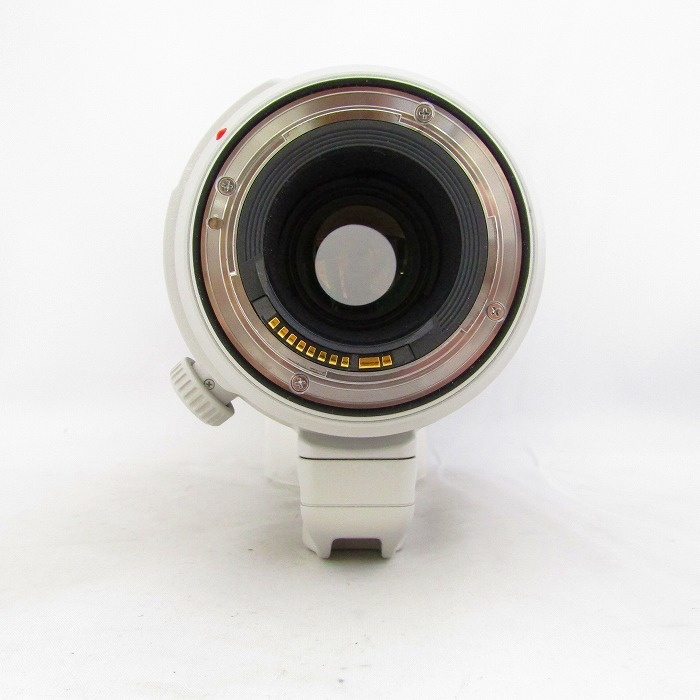 キヤノン EF100-400/4.5-5.6L IS II USM
