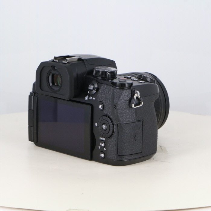 パナソニック DC-G99M2H ズームレンズキット