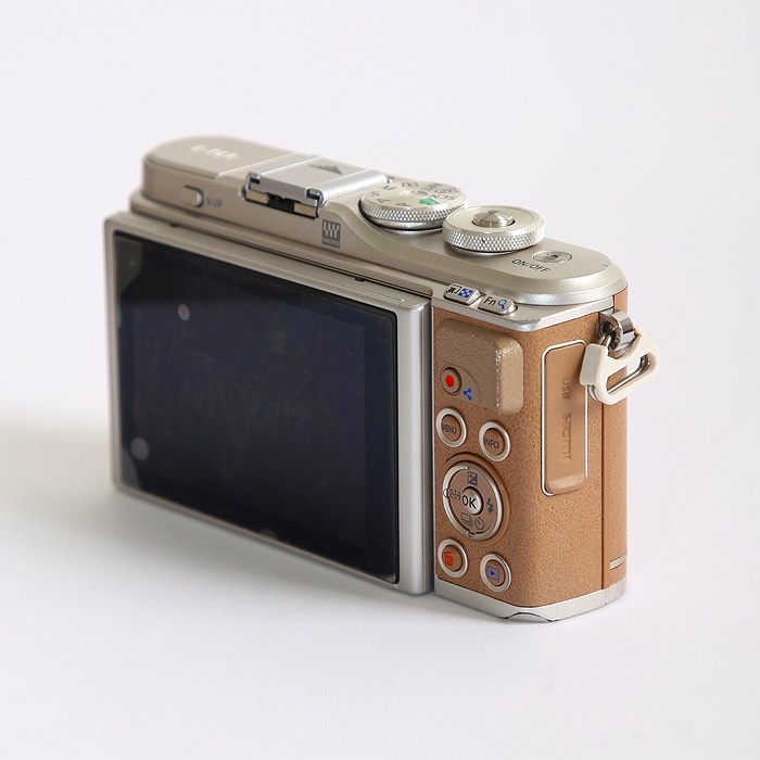 オリンパス E-PL9 ボデイ ブラウン