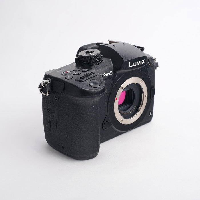 パナソニック DC-GH5