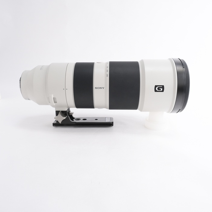 ソニー FE200-600/F5.6-6.3 G OSS