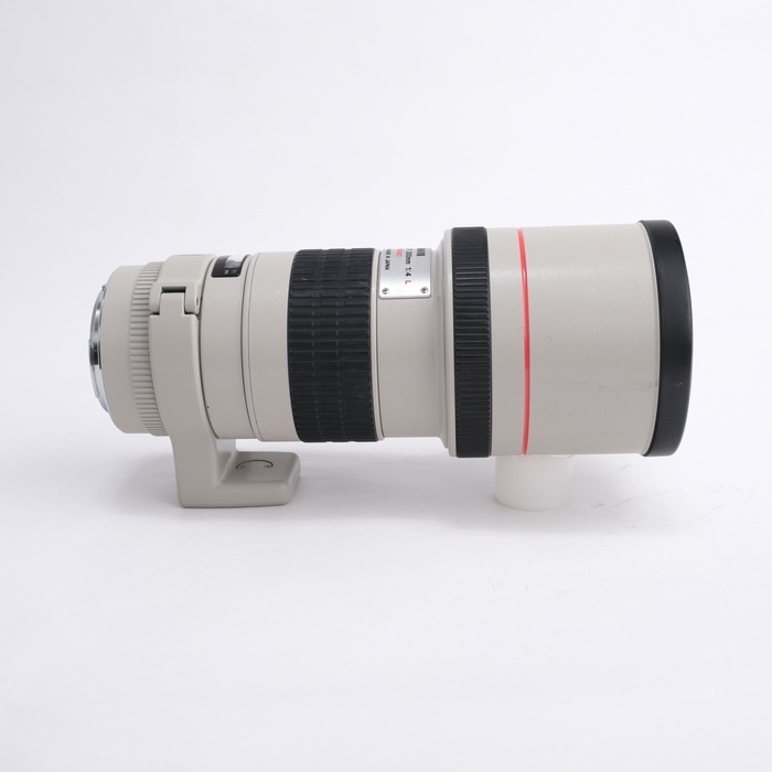 キヤノン EF300/4L USM