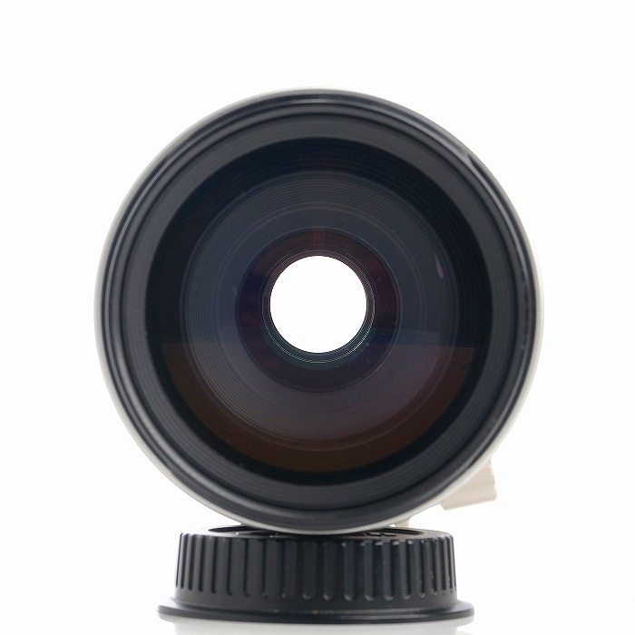 キヤノン EF100-400/4.5-5.6L IS USM
