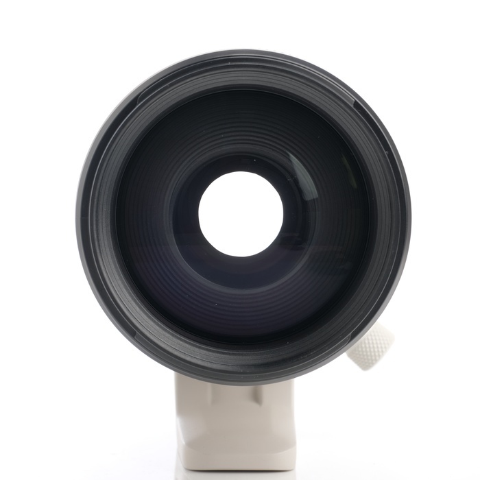 キヤノン RF70-200/2.8L IS USM