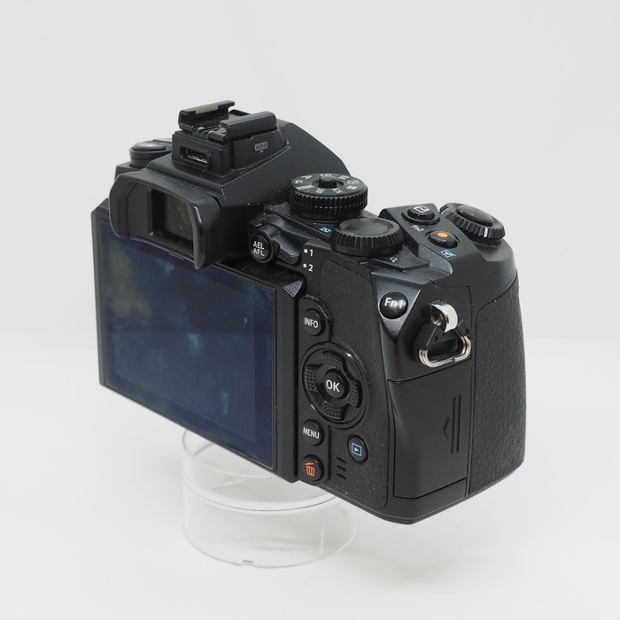 オリンパス OM-D EM-1