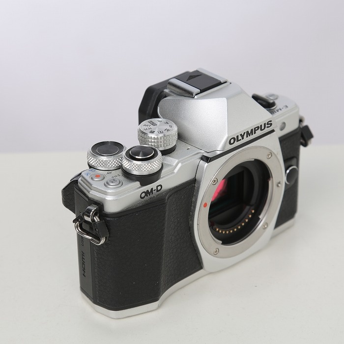 オリンパス OM-D E-M10 MARK2 ボデイ シルバー
