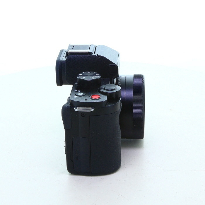 パナソニック LUMIX DC-G100DK 標準ズームレンズキット