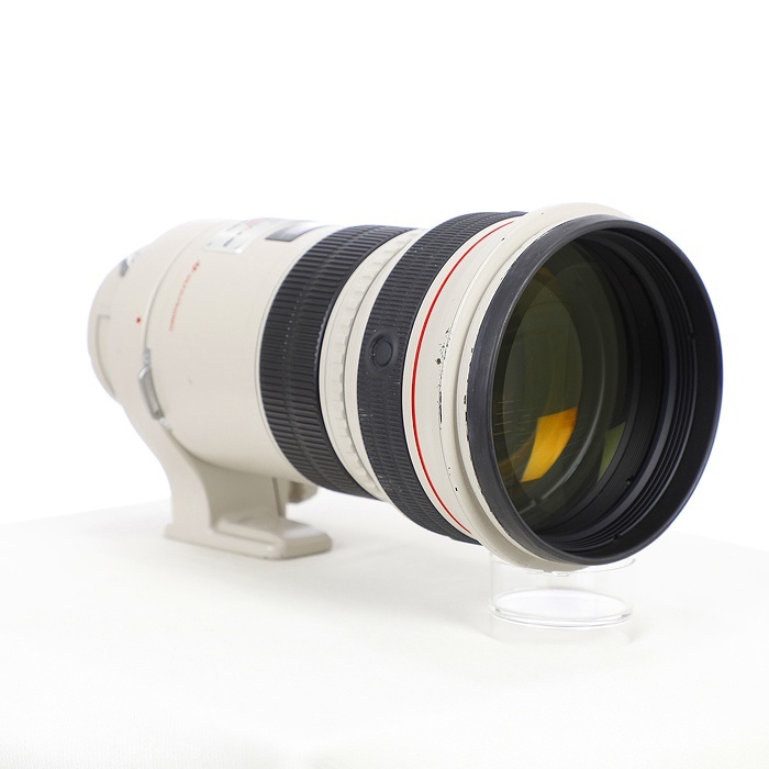キヤノン EF300/F2.8L IS