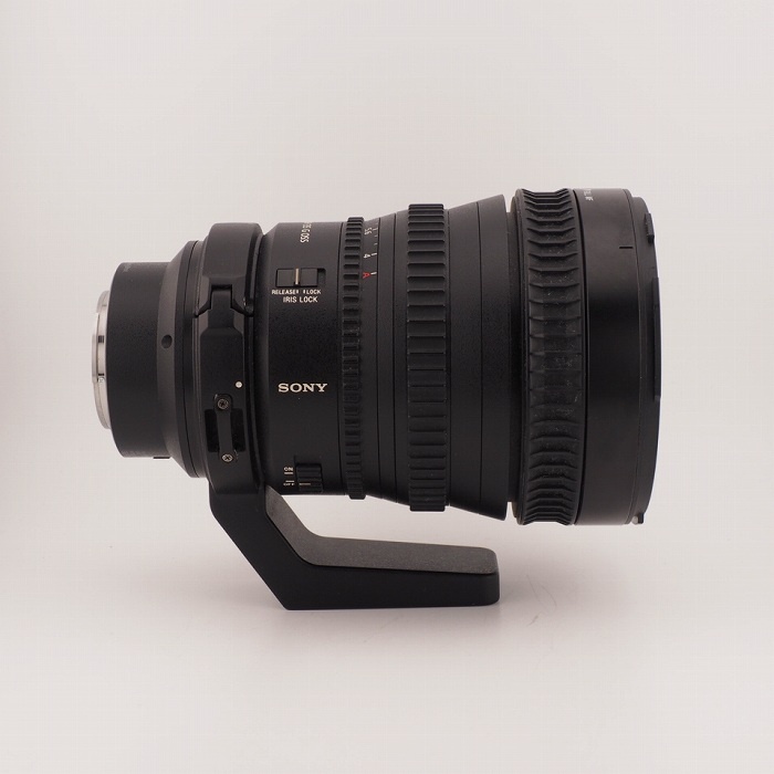 ソニー FE PZ28-135/F4 G OSS
