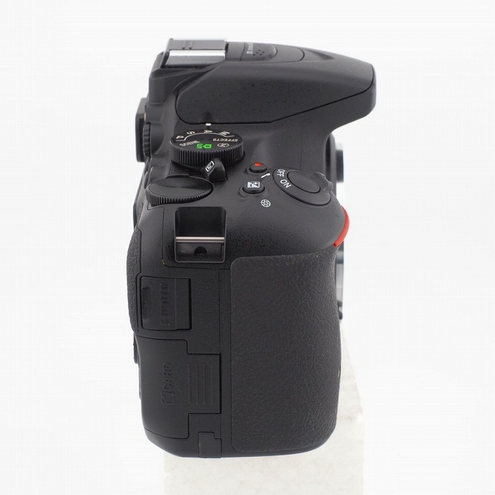 ニコン D5500