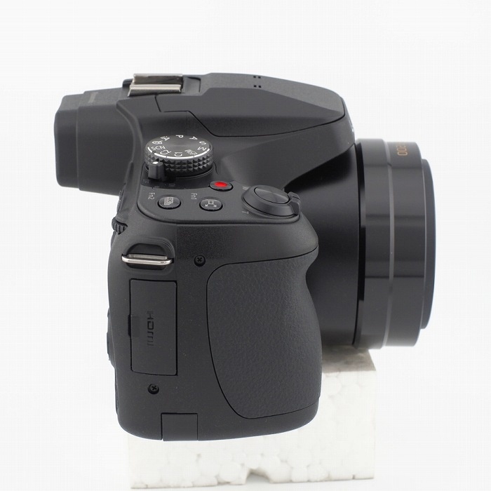 パナソニック DC-FZ85D