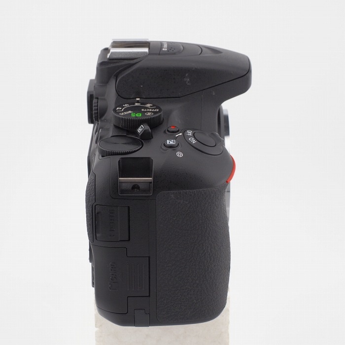 ニコン D5500