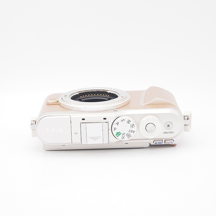 オリンパス E-PL10 ボデイ ブラウン