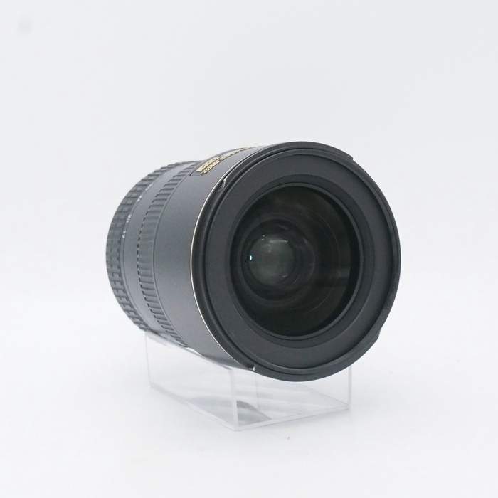 ニコン AF-S DX 17-55/2.8G IF-ED