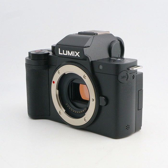 パナソニック DC-G100V