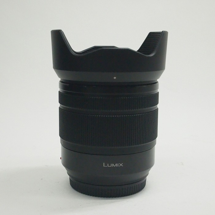 パナソニック Gバリオ 12-60/3.5-5.6 ASPH POWER OIS (H-FS12060)