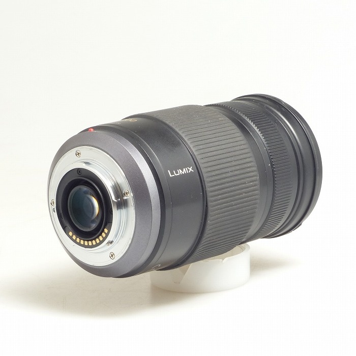 パナソニック G VARIO 100-300/4-5.6 MEGA O.I.S.