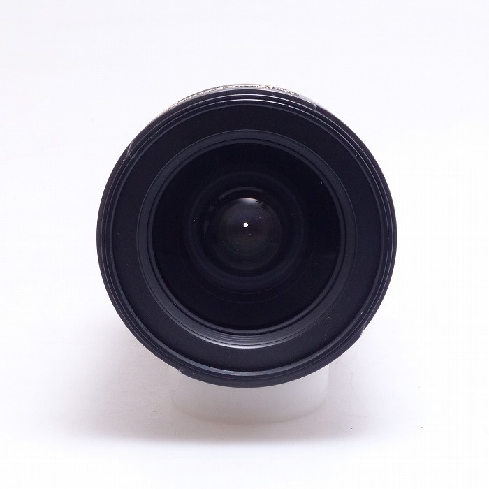 ニコン AF-S DX 17-55/2.8G IF-ED