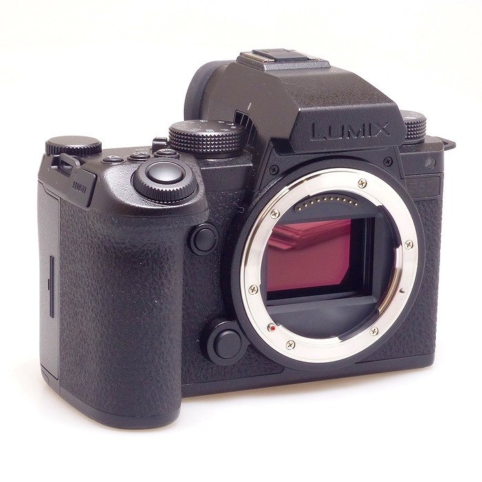パナソニック DC-S5M2X