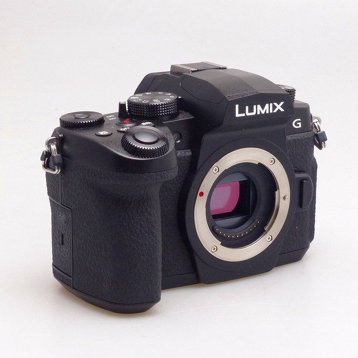 パナソニック G99 DC-G99D-K