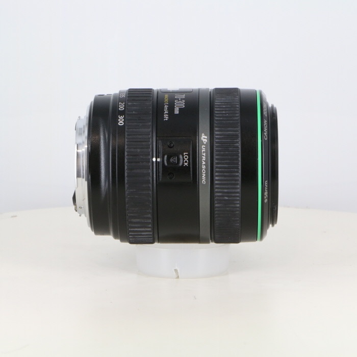 キヤノン EF70-300/4.5-5.6 DO IS USM