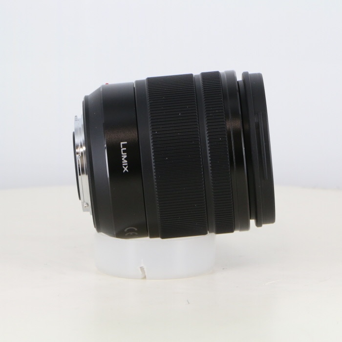 パナソニック Gバリオ12-60/3.5-5.6ASPH POWER OIS H-FS12060