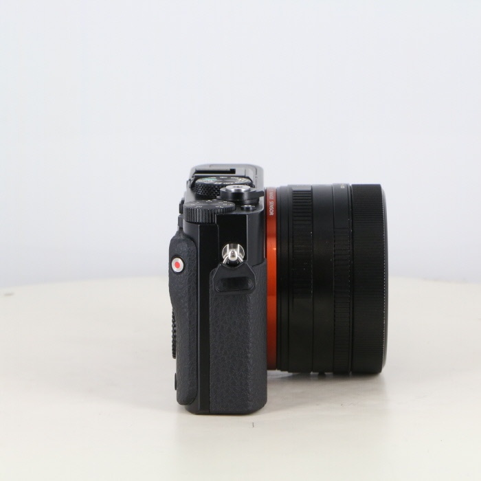ソニー DSC-RX1R