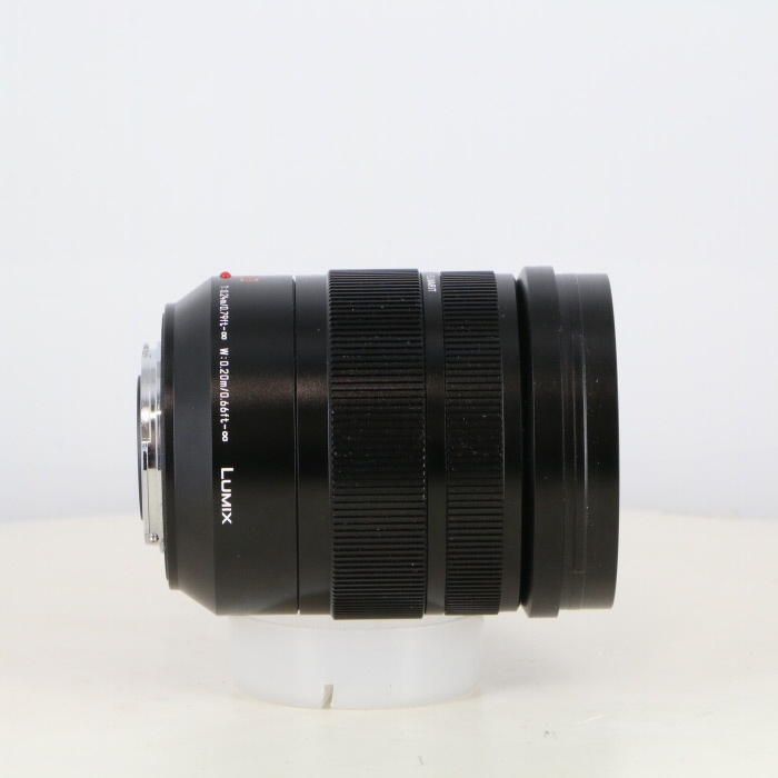 パナソニック LEICA DG バリオエルマリート 12-60/2.8-4.0 ASPH. POWER O.I.S.