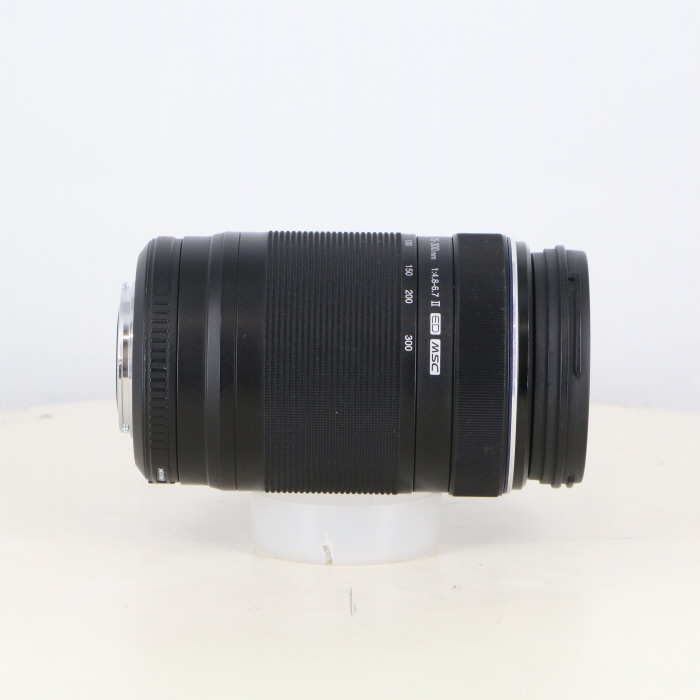 オリンパス M.,ズイコーデジタル ED75-300/4.8-6.7II