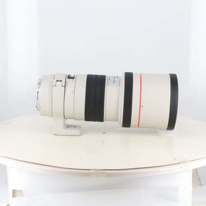 キヤノン EF300/4L USM