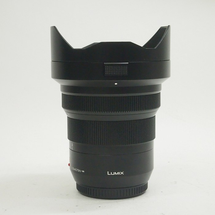 パナソニック LEICA DGバリオ・エルマリート 8-18/2.8-4 ASPH H-E08018