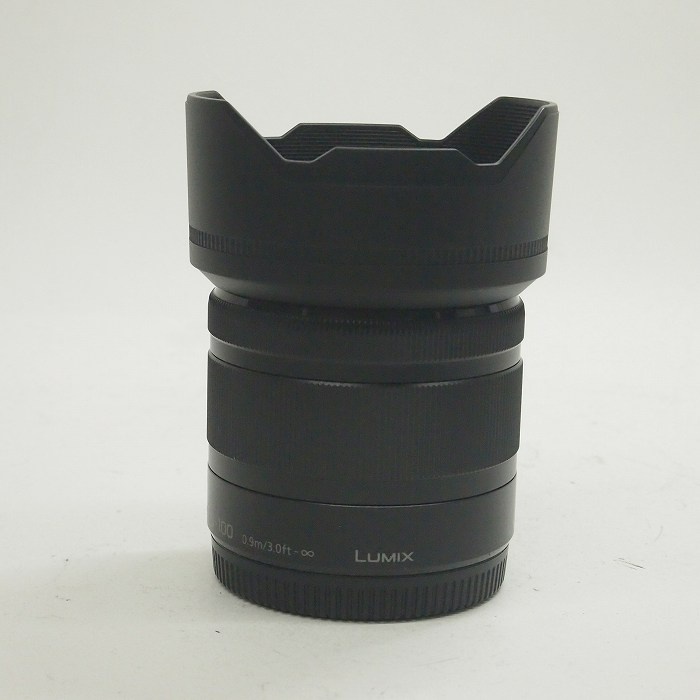 パナソニック Gバリオ 35-100/4-5.6 ASPH MEGA O.I.S.