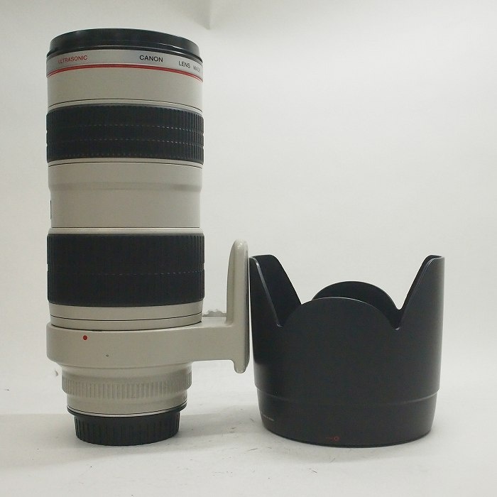 キヤノン EF70-200/2.8L USM