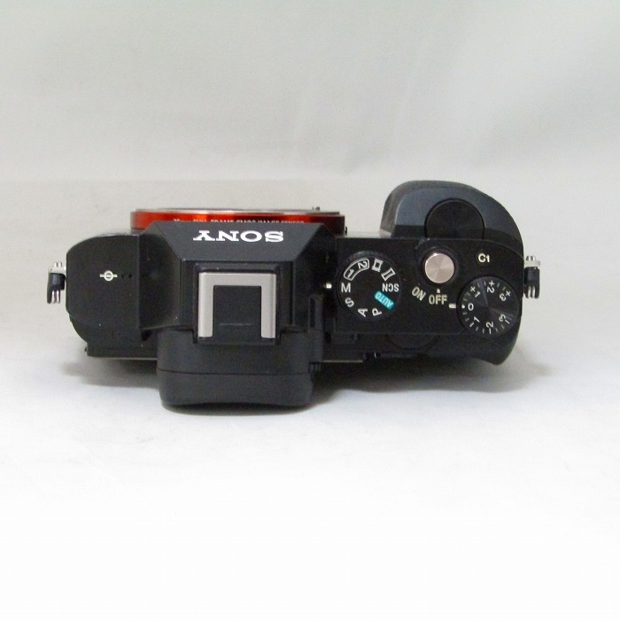 ソニー α7 ボデイ
