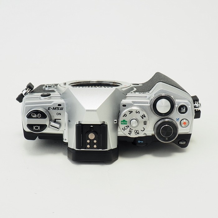オリンパス OM-D E-M5 MARK3 ボティ シルバー