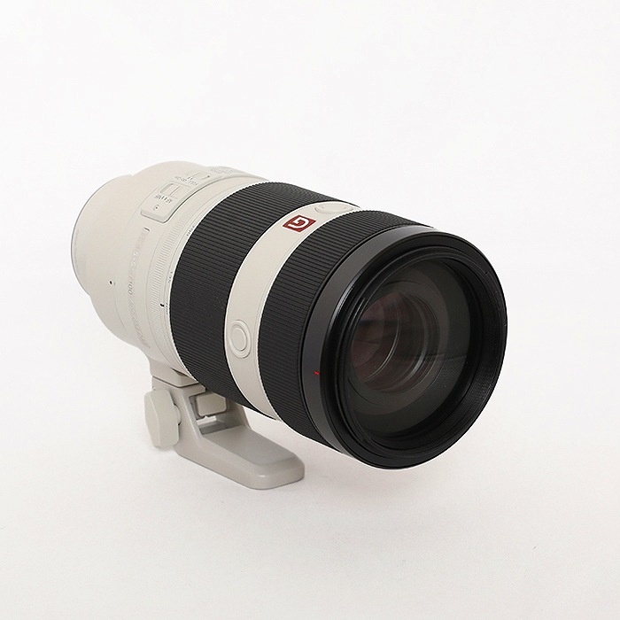 ソニー FE100-400/4.5-5.6 GM OSS