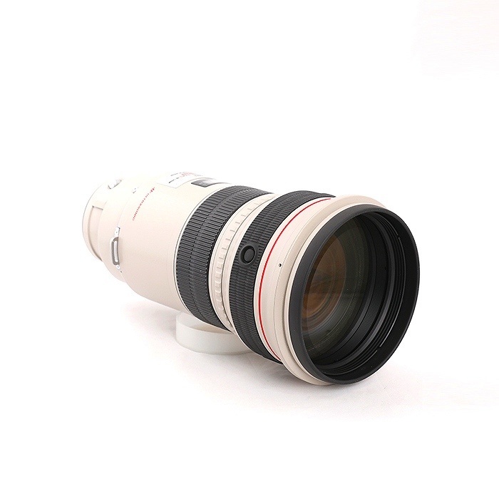 キヤノン EF300/2.8L IS USM