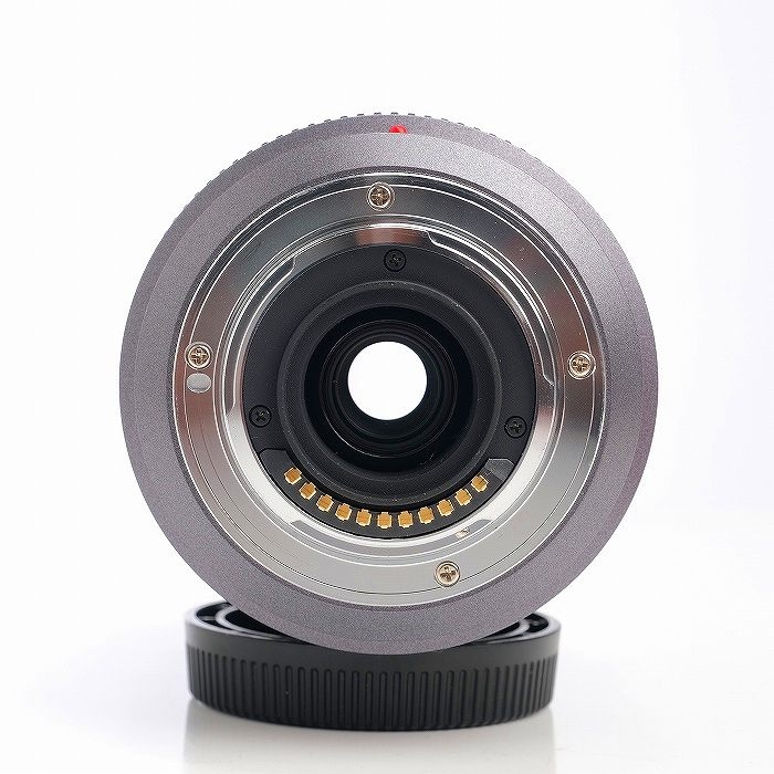 パナソニック LUMIX G VARIO 45-200/4.0-5.6(H-FS045200)