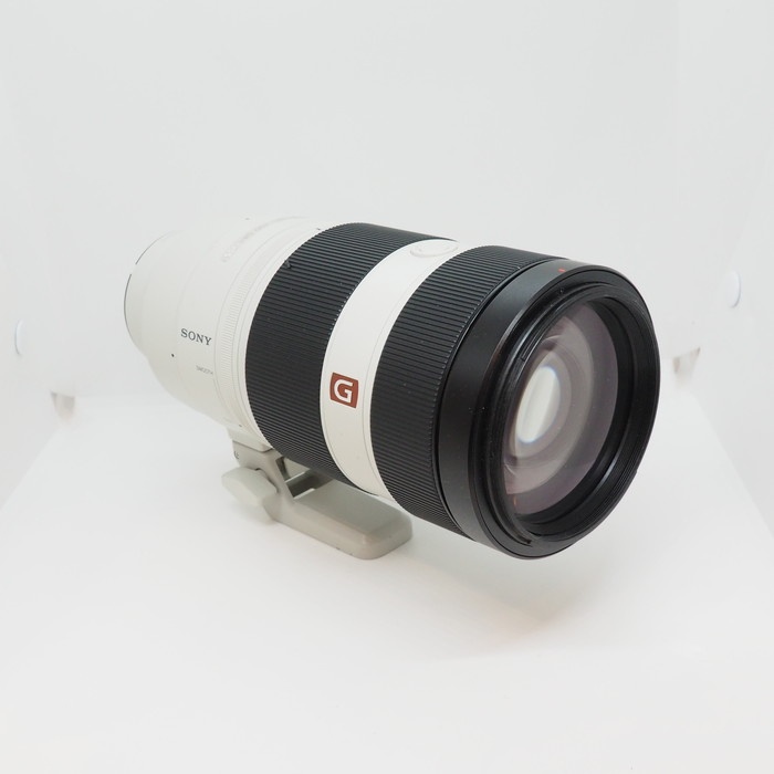 ソニー FE100-400/4.5-5.6 GM OSS